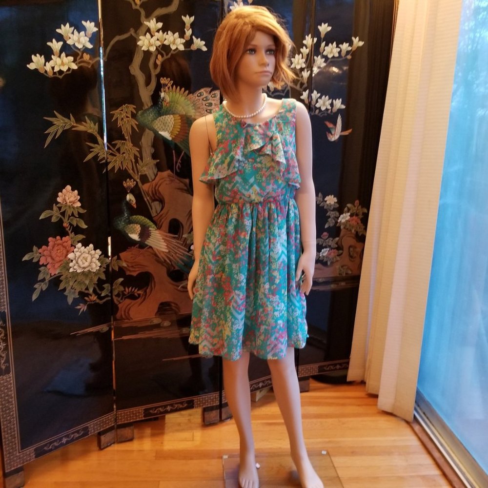 Bloome Size 12 Blue Pink Floral Ruffled Dress